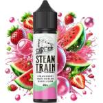 Steam Train Disposable Edition Strawberry Watermelon Bubblegum 20ml/60ml