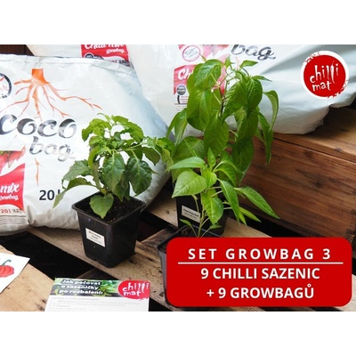 CHILLIMAT Chilli sazenice SET GROWBAG 3 9 kusů sazenic + 9 kusů growbagu