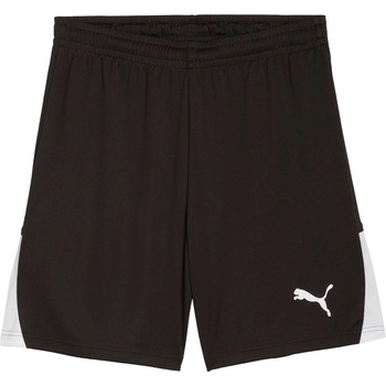PUMA Teamliga 26 shorts xxl