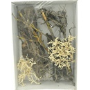 Dekorácie do terárií Lucky Reptile Deco Set Desert