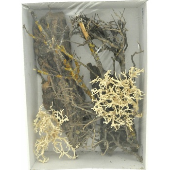 Lucky Reptile Deco Set Desert