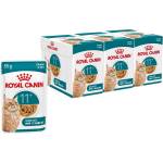 Royal Canin AGEING 11+ Jelly парчета в желе за стари котки над 11 години 36 x 85 г