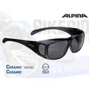 ALPINA Overview