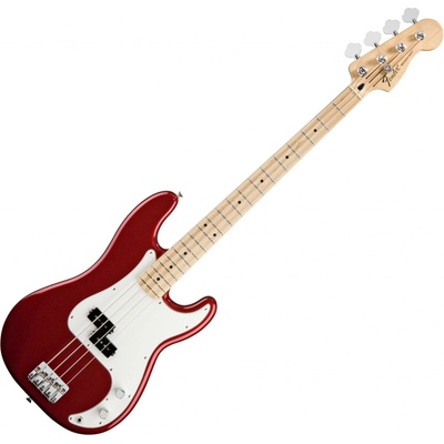 Fender Standard Precision Bass MN – Zboží Dáma