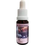 PHI Essences При трудни ситуации - Есенция Бряст № 11, капки 15 ml (11 CLASSIC)