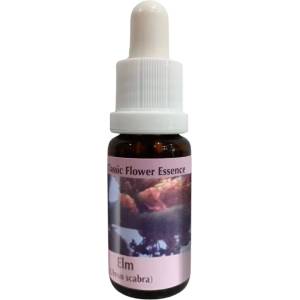 PHI Essences При трудни ситуации - Есенция Бряст № 11, капки 15 ml (11 CLASSIC)