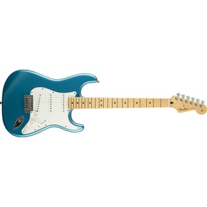 Fender Player Stratocaster MN TPL