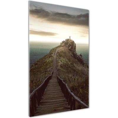 Vertikálny foto obraz sklenený Chodník na skale 50x100 cm