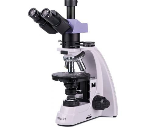 Magus Pol 800