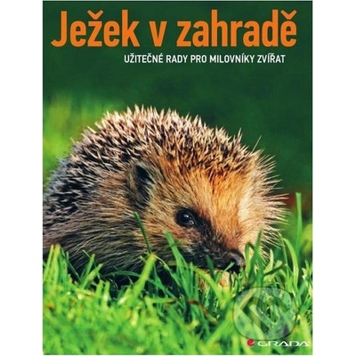 Ježek v zahradě