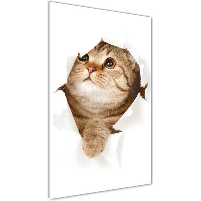 Vertikálny foto obraz sklo tvrdené Kocúr 50x100 cm