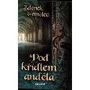 Pod křídlem anděla