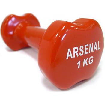 Arsenal aerobic vinyl 1 kg