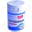 Apotheke Lactobacillus acidophilus 60 tabliet
