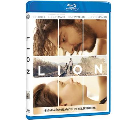 Lion BD