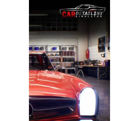 Car Detailing Simulator
