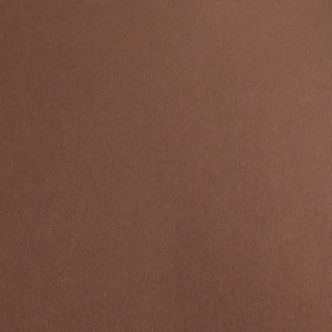 Fabriano Картон Elle Erre, 70 x 100 cm, 220 g/m2, № 106, тъмнокафяв (46470106/10_MARRONE)