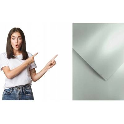Galéria Papiera ozdobný papier Millenium stříbrná 220g 20ks