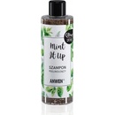 Anwen Mint It Up Peelingový šampon 200 ml