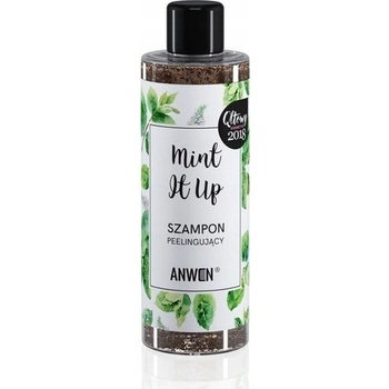 Anwen Mint It Up Peelingový šampon 200 ml