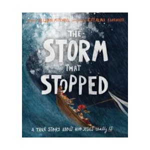 The Storm That Stopped Storybook | Alison Mitchell (ISBN: 9781910307960)