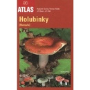 Holubinky