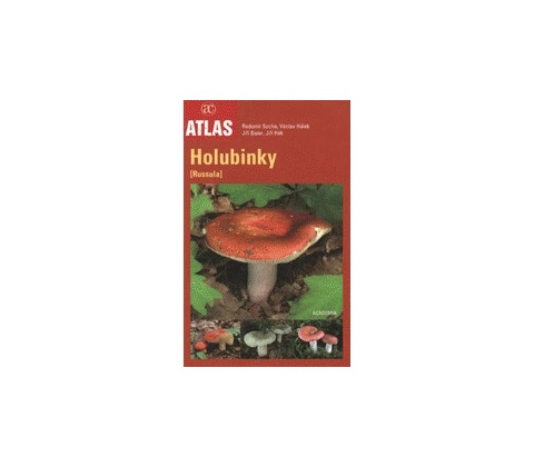 Holubinky