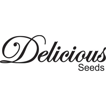 Delicious Seeds Gourmet Collection Automatic 1 semena neobsahují THC 9 ks