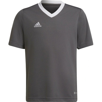 adidas ENT22 JSY Y šedá