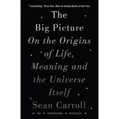 Big Picture Carroll Sean