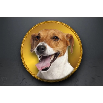 Emblém Jack Russel Terier GL321/GL321_25 – Sleviste.cz