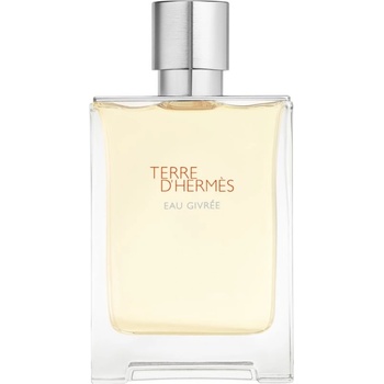 Hermès Terre d’Hermès Eau Givrée parfémovaná voda pánská 100 ml