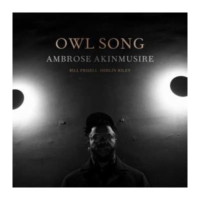 Ambrose Akinmusire - Owl Song LP