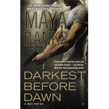 Darkest Before Dawn - Maya Banks
