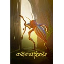 Metamorphosis