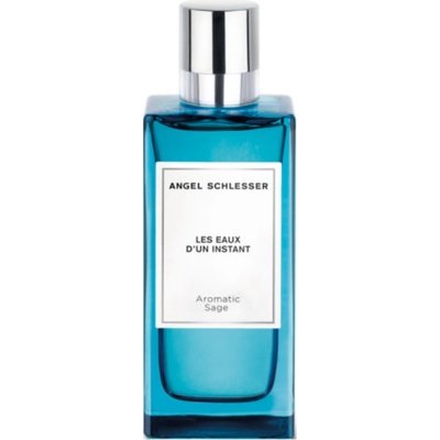 Angel Schlesser Les Eaux D'Un Instant Aromatic Sage toaletní voda pánská 100 ml