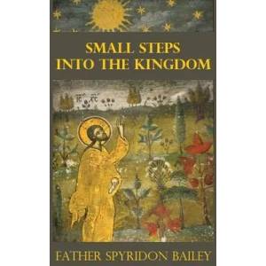 SMALL STEPS INTO THE KINGDOM (ISBN: 9781786973924)