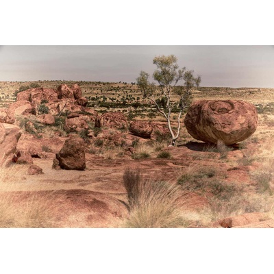 DIMEX ART Флизелинов фототапет австралийски пейзаж 375 x 250 см