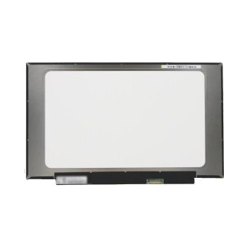 Display Lenovo THINKPAD T495 20NJ0016AT Displej LCD 14“ 30pin eDP FULL HD LED SlimTB - Matný