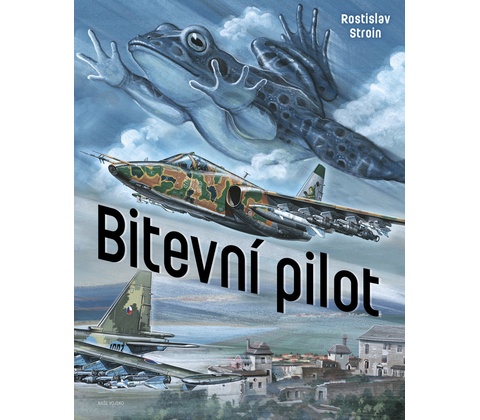 Bitevní pilot - Stroin Rostislav