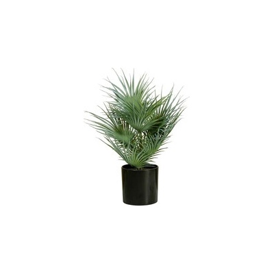 Umělá Fan palma v květináči, 55cm