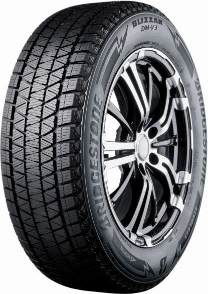 Bridgestone Blizzak DM-V3 265/65 R17 112R od 4 671 Kč - Heureka.cz