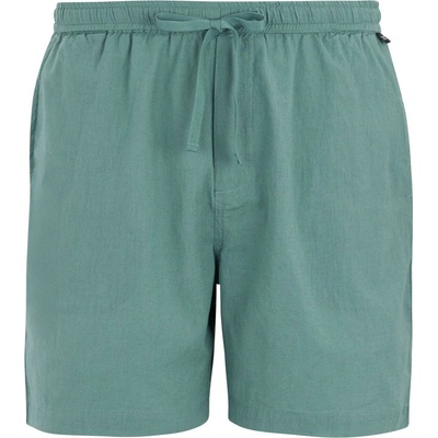 Regatta Hadlin Shorts světle modrá