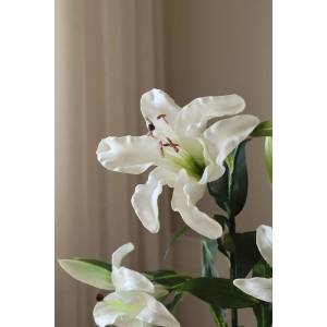 Botané Изкуствен букет Декоративен 68 x 18 cm (BOT.BOU.094)