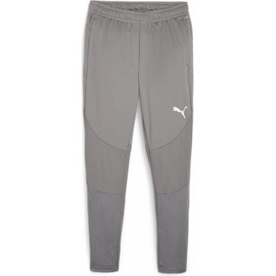 Puma teamFINAL Training pants 658563-13