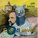 Co oči nevidí