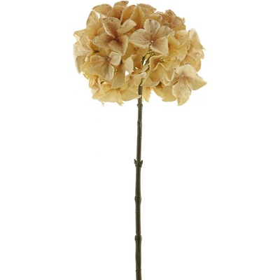 Hortenzie - Hydrangea větev béžová V72 cm