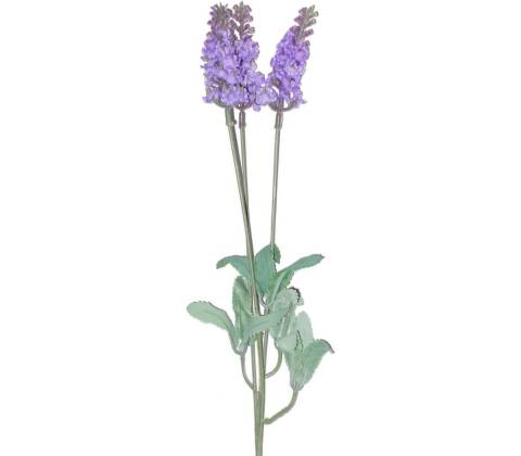 26335 LEVANDULA KS