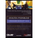 Analýza podnikání s programem Microsoft Excel