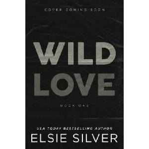 Untitled | SILVER ELSIE (ISBN: 9781464220814)